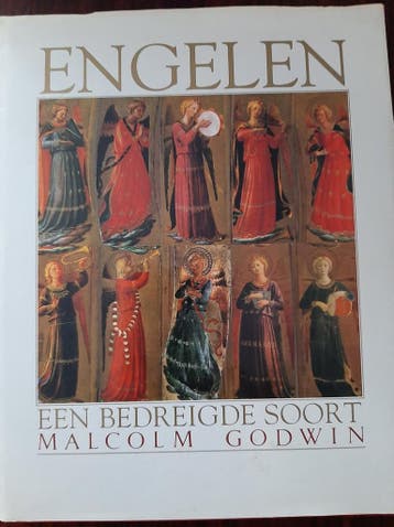 ENGELEN - M. Godwin 9789061209805, Verzenden, Zo goed als nieuw, M. Godwin