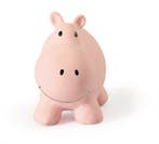 TIKIRI TOYS | Bijt- en Badspeelgoed met Rammelaar - Nijlp..., Kinderen en Baby's, Speelgoed | Badspeelgoed, Ophalen of Verzenden