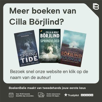 Wiegelied / Rönning & Stilton - Cilla Börjlind 9789400507838, Verzenden, Gelezen, Cilla Börjlind