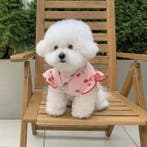 Honden T-shirt Zomer –Aardbeienprint, Ademend en Comfortabel, Verzenden, Nieuw