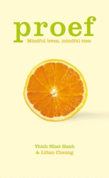 Proef - Thich Nhat Hanh 9789025961022, Boeken, Verzenden, Zo goed als nieuw, Thich Nhat Hanh
