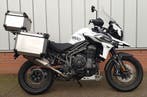 Triumph Tigers, Scramblers, Speed/Street Triple, Street Twin, Motoren