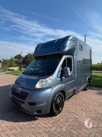 Nieuwstaat Citroën paardenwagen, opbouw 2023!, Dieren en Toebehoren, Ophalen, Zo goed als nieuw, Polyester, 2-paards trailer