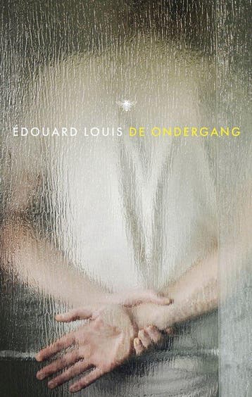 9789403134161 De ondergang Edouard Louis, Boeken, Romans, Verzenden, Nieuw, Edouard Louis