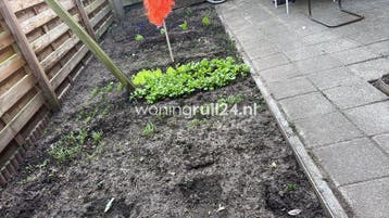 Woningruil - Van Speykstraat 18 - 2 kamers en Gelderland, Gelderland