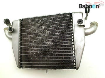 Radiateur MV Agusta F4 1000 S 2004-2007 Lower, Verzenden, Gebruikt