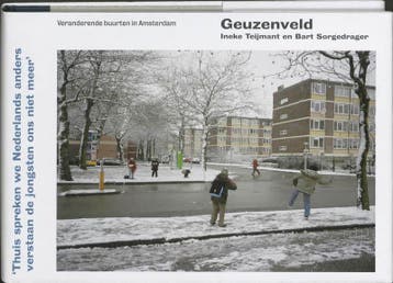 Geuzenveld - Ineke Teijmant 9789059372146, Verzenden, Gelezen, Ineke Teijmant