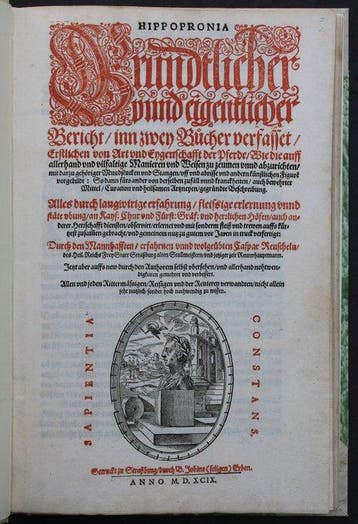 Caspar Reuschlein - Hippopronia, Gründtlicher und