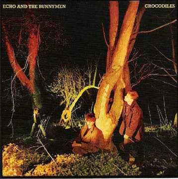 cd - Echo &amp; The Bunnymen - Crocodiles, Verzenden, Zo goed als nieuw