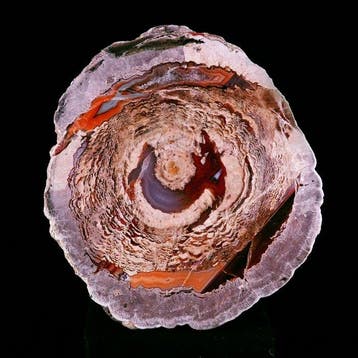 Thunderegg-agaat - Esterel, Var, Frankrijk - Hoogte: 6.5 cm