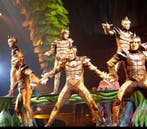 Cirque du Soleil Tickets ING Arena Te Koop