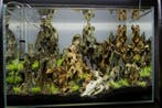 Dragon stone 15-25cm - aquarium decoratie stenen, Verzenden, Nieuw, Plant(en), Steen of Hout