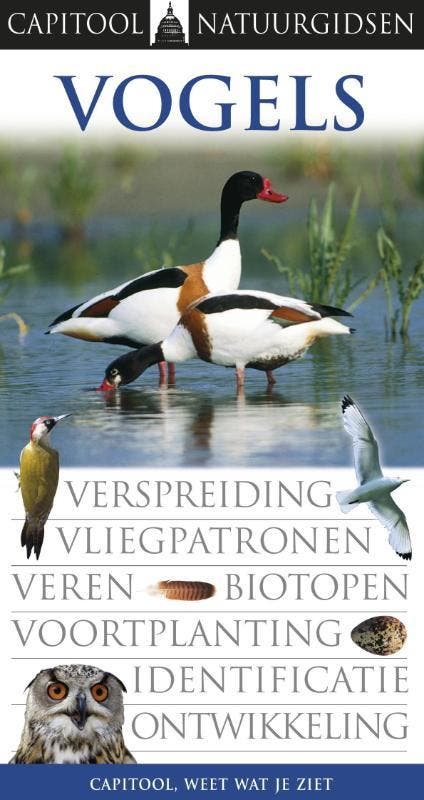 Vogels / Capitool veldgidsen 9789041018960 Jonathan Elphick, Boeken, Hobby en Vrije tijd, Gelezen, Verzenden