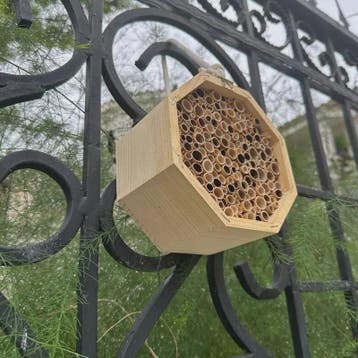 Houten Bijenhotel voor Tuin & Balkon - Vriendelijk voor Bije
