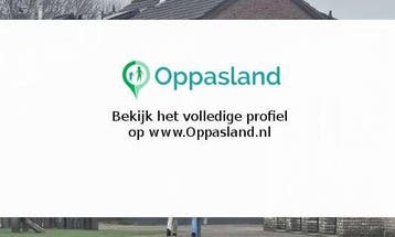 Nolani zoekt een oppas in Zoetermeer voor 3 kinderen., Vacatures, Vacatures | Cultuur, Recreatie en Sport