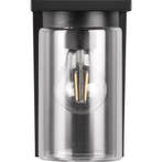 LED Tuinverlichting - Buitenlamp - Trion Dila - Wand - Mat, Nieuw, Ophalen of Verzenden, Hanglamp, Led