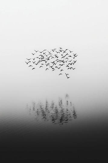 Jorge Omeñaca - A cucu flight