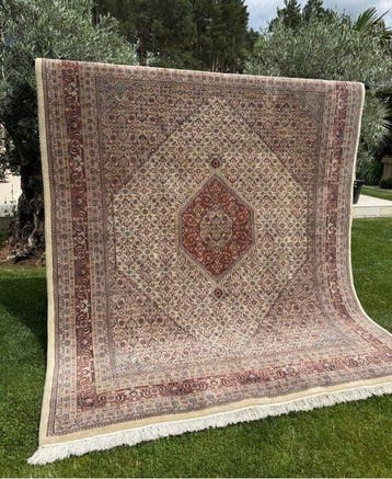Indo Bidjar Tapijt - Tapijt - 310 cm - 250 cm, Nieuw