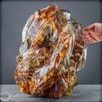 Indrukwekkende versteende houtvlam uit Madagaskar., Verzamelen, Mineralen en Fossielen