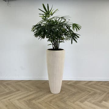 kamerplant met kunststof creme witte pot - Gratis Bezorging, Ophalen of Verzenden, Gebruikt, Bureau