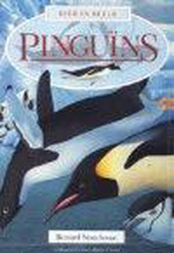Pinguins / Dier in beeld - B. Stonehouse 9789054832706, Verzenden, Gelezen, B. Stonehouse