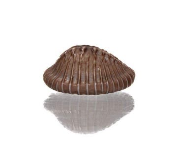 Pusula radians (20mm) - GIGANTISCHE MAAT - PerfectE JUWEEL, Nieuw