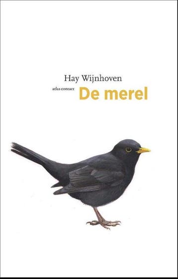 9789045033952 De vogelserie 10 - De merel, Verzenden, Nieuw, Hay Wijnhoven