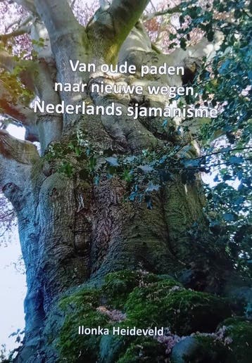 Van oude paden naar nieuwe wegen 9789082072600, Verzenden, Gelezen, Ilonka Heideveld