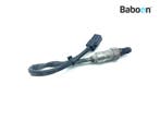 Lambda Sonde Triumph Tiger Sport 660 2022-2024, Verzenden, Gebruikt