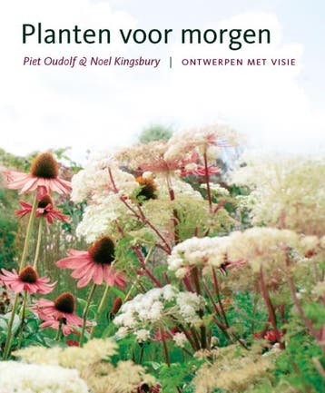 Planten voor morgen - Noël Kingsbury 9789058974303, Boeken, Verzenden, Gelezen, Noël Kingsbury