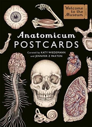 Anatomicum Postcard Box | Jennifer Z Paxton | Nieuw, Ophalen of Verzenden, Nieuw, Jennifer Z Paxton
