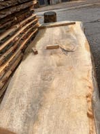 10X Boomstambladen, complete partij 450,- REF 790, Doe-het-zelf en Verbouw, Hout en Planken, Ophalen of Verzenden, Gebruikt