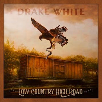 lp nieuw - drake white - LOW COUNTRY HIGH ROAD (nieuw), Verzenden, Zo goed als nieuw, Overige formaten