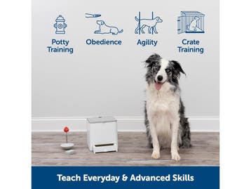 Petsafe Teach & Treat - Beloningstrainer met, Verzenden, Zo goed als nieuw