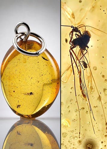 Gouden Baltische Amberhanger – Prachtige