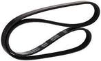 Chevy van GMT multiriem GM 12576447, Verzenden, Nieuw, Chevrolet