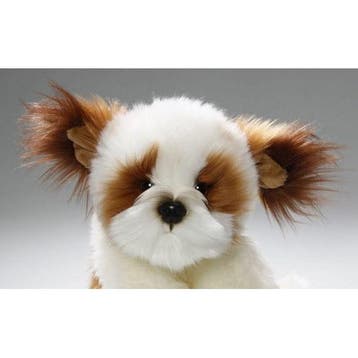 Carl Dick shih tzu knuffel - pluche - 24 cm - hond, Verzenden, Nieuw