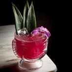 cocktail bekers, Nieuw