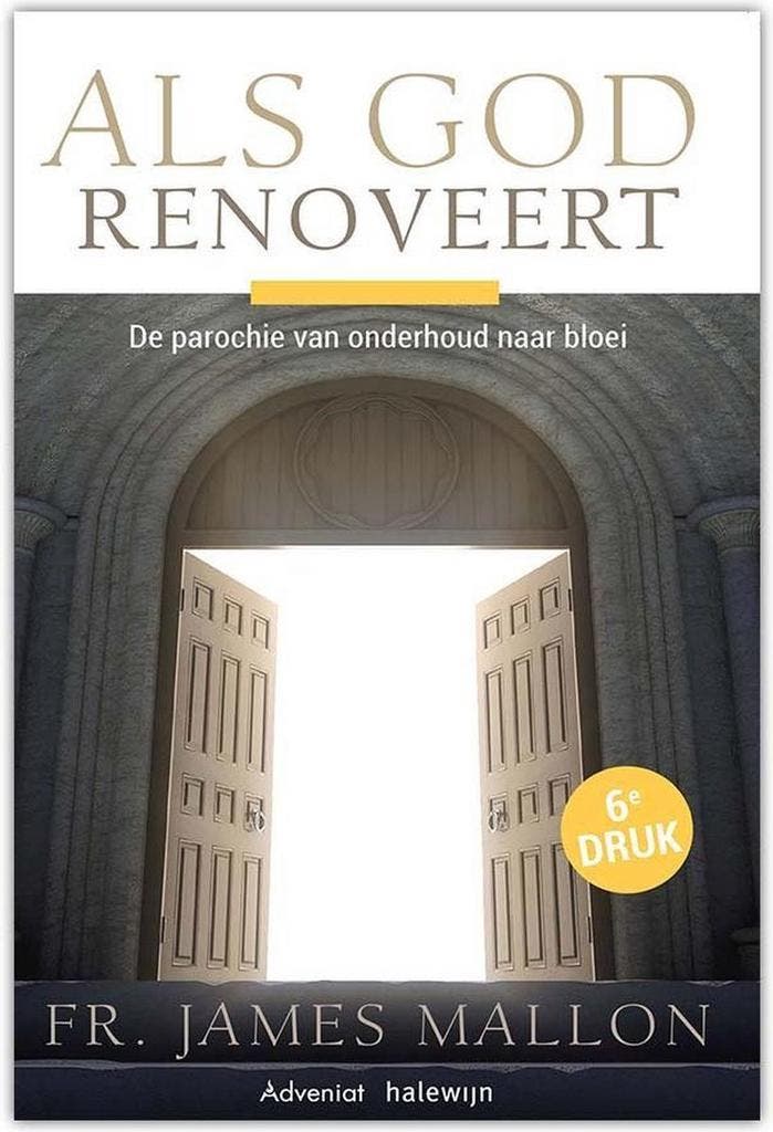 Als God renoveert 9789492093776 James Mallon, Boeken, Godsdienst en Theologie, Gelezen, Verzenden
