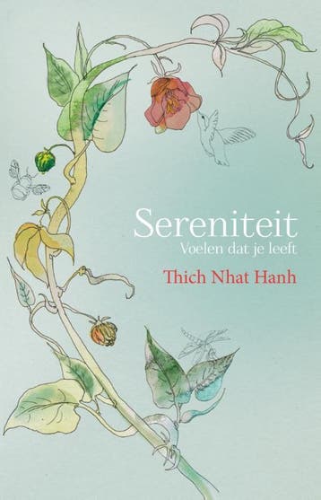 Sereniteit - Thich Nhat Hanh 9789045316871, Boeken, Verzenden, Zo goed als nieuw, Thich Nhat Hanh