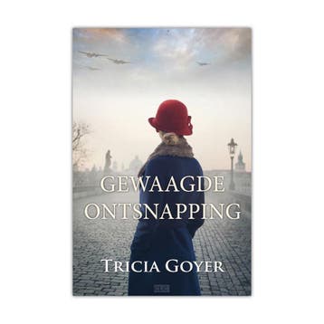 Gewaagde Ontsnapping - Tricia Goyer (Midprice) - Tricia, Verzenden, Zo goed als nieuw, Tricia Goyer