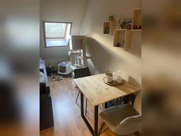 Te huur: Appartement Sint Janssingel in Den Bosch, Den Bosch, Noord-Brabant, Appartement