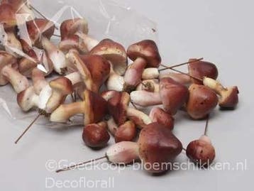 Voordeelzak paddenstoelen per zak, Ophalen of Verzenden, Nieuw