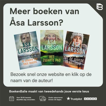 Zonnestorm / Rebecka Martinsson / 1 - Åsa Larsson, Boeken, Verzenden, Gelezen, Åsa Larsson