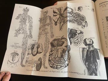 GUYON Louys - Le cours de medecine en françois, contenant le, Antiek en Kunst