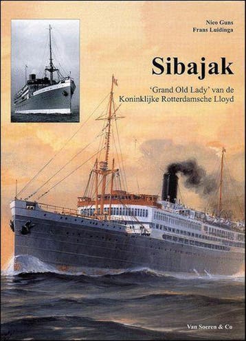 Sibajak - N. Guns 9789068810981, Boeken, Verzenden, Zo goed als nieuw, N. Guns