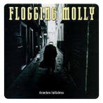 cd - Flogging Molly - Drunken Lullabies, Verzenden, Zo goed als nieuw