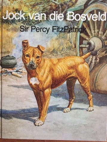 Jock Van Die Bosveld - Percy Fitzpatrick 9780627009587, Verzenden, Gelezen, Percy Fitzpatrick