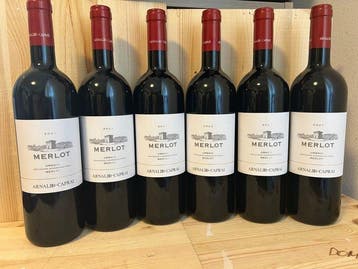 2022 Arnaldo Caprai, Merlot - Umbrië - 6 Flessen (0.75, Nieuw