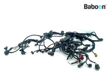 Kabelboom Ducati Multistrada 1200 S 2010-2012 (MTS1200, Motoren, Verzenden, Gebruikt